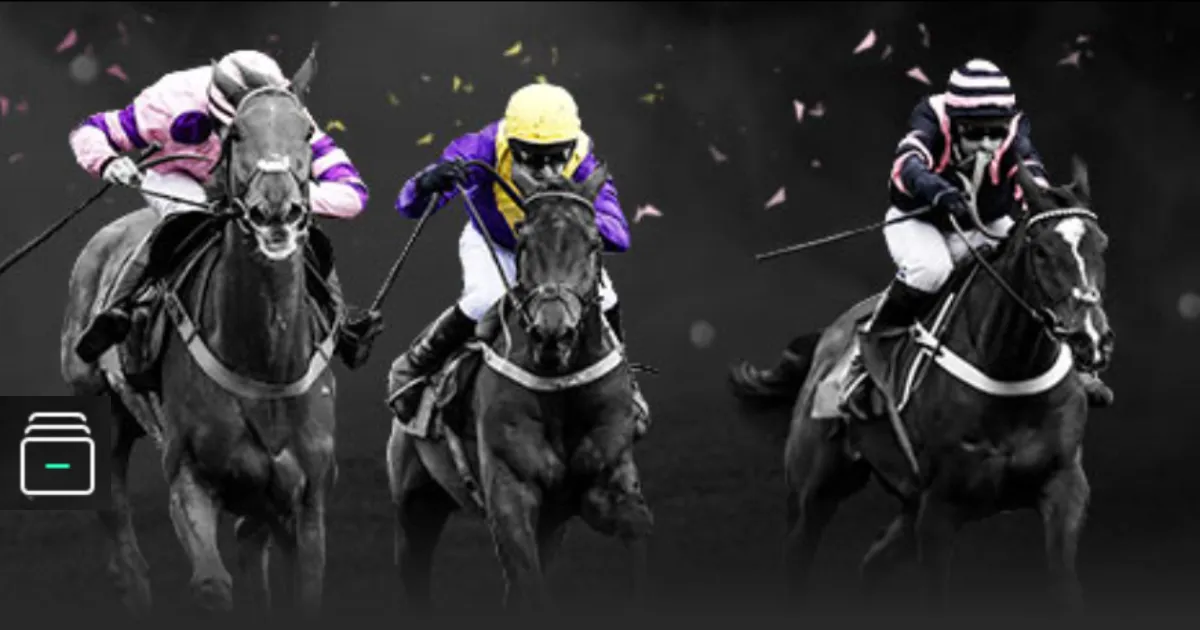 探索深圳龙,华中心小学,体育课堂的,星空,XingKong,星空注册网址,星空app,星空官网,星空网站,星空下载